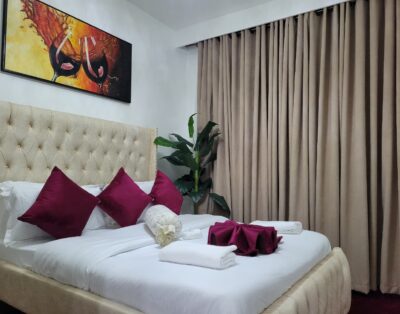 Cozy 1 bedroom with a nice view, gym, heart of Nairobi